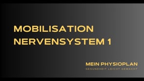 Mobilisation Nervensystem