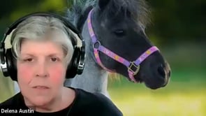 🕊️ New Podcast Episode: Honoring Our Herd Members & Supporting Clients Through Grief