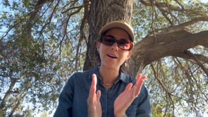 how to start your nurse coaching biz in 2026