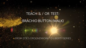 Lesson 87. The Brachio Button For Relaxation