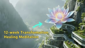 🎥 Can You Really Change Your Life in 12 Weeks?