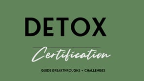 Detox Certification | Business Partnership & Revenue Strategy Meeting 