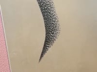 How to do ⭐FLUFFY Powder Brows⭐