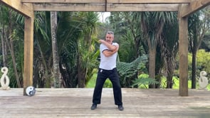 New Spine reset video lesson