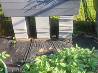 Sharing My Garden 