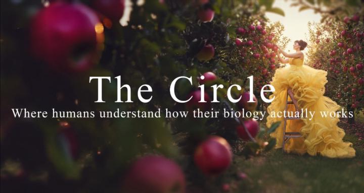 The Circle by Nina Kalandia