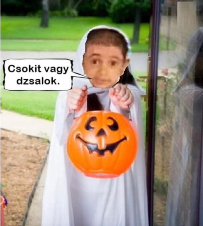 Dávid Szöllősi