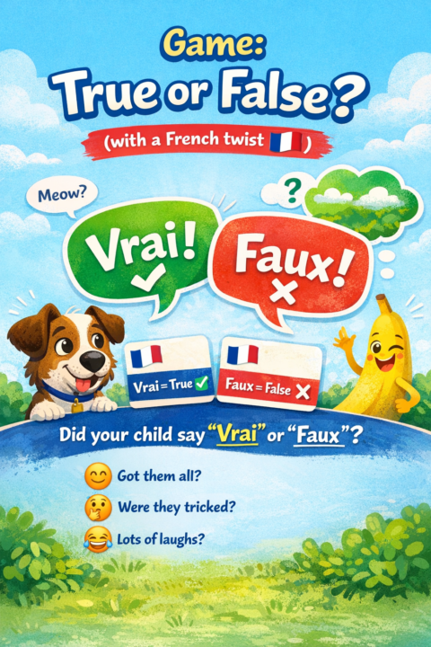 🎲 Game: True or False? (with a French twist 🇫🇷)