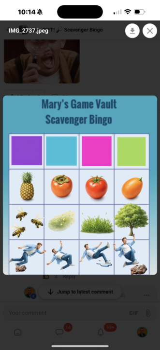 Scavenger Hunt + Bingo = Chaos 