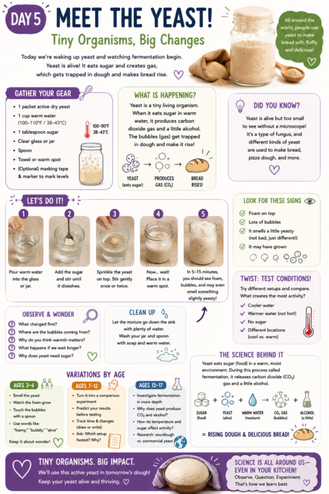 Meet the Yeast