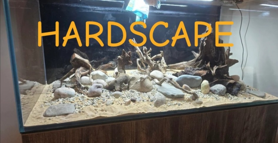 Hardscape