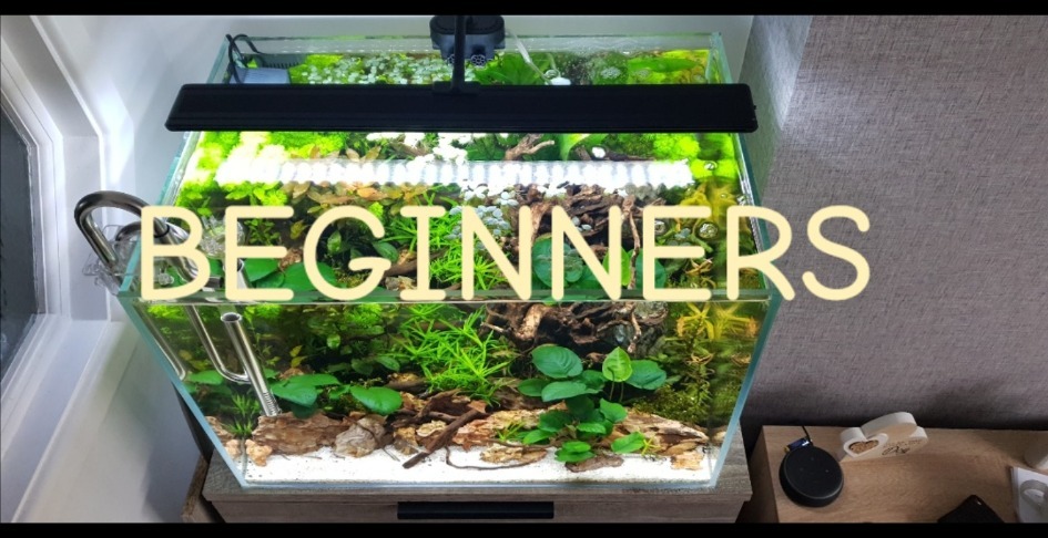 Ultimate beginners course