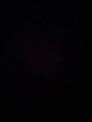 Andrea Campos Castro