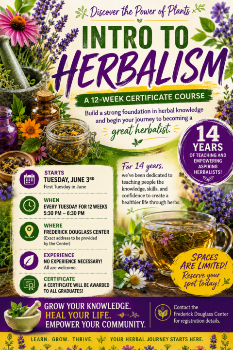 Class starts June 3rd! 