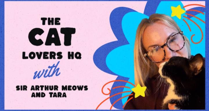 Sir Arthur Meows Cat Lovers HQ