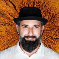 David Avolio