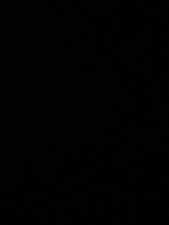 Anthonino Rodriguez-wring