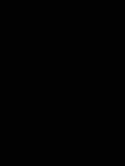 Anthonino Rodriguez-wring