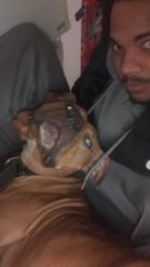 Tere Roban