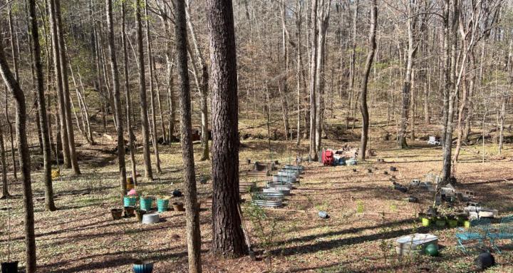 Headrick’s Hollow