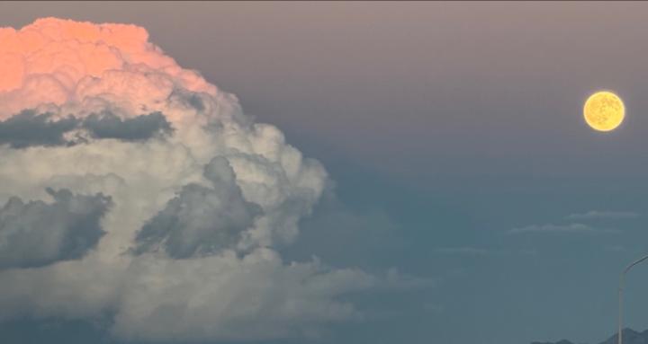 Witches Academy for Beginners 