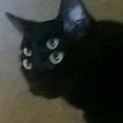Fred L