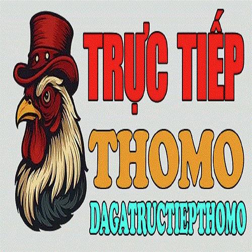Đá gà trực tiếp Thomo