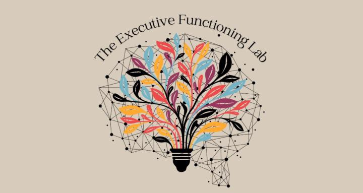 The Executive Function Lab