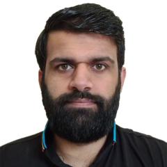 Hassan Malik