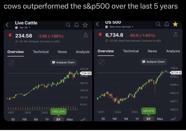 Beef outperforms the S&P 500