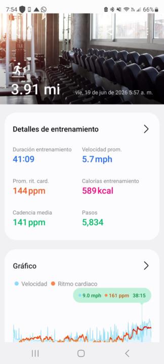 Disciplina