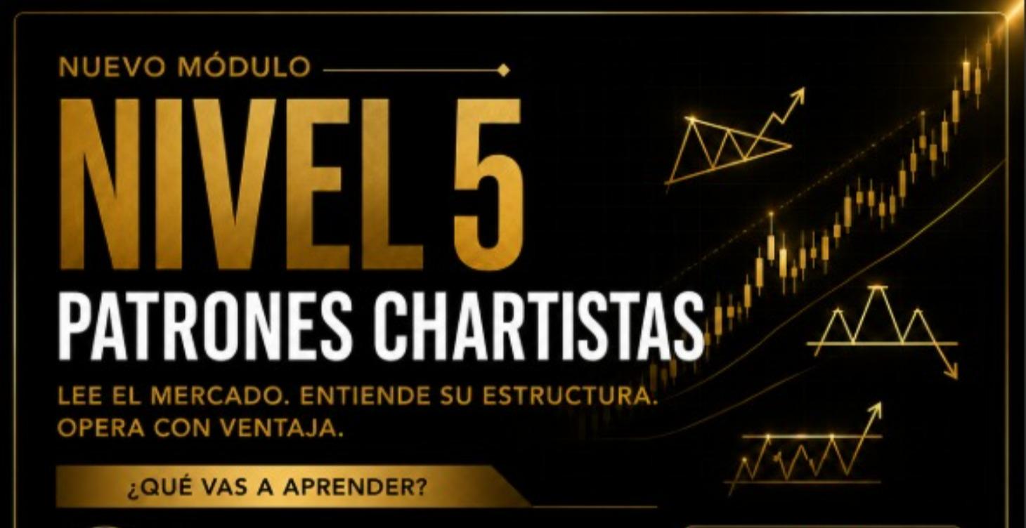 NIVEL 5