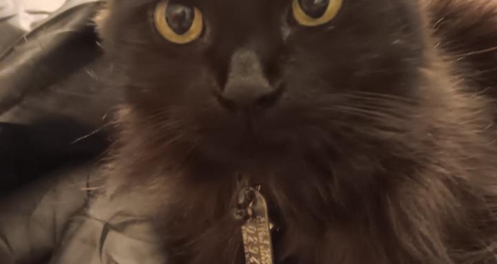 Barbara