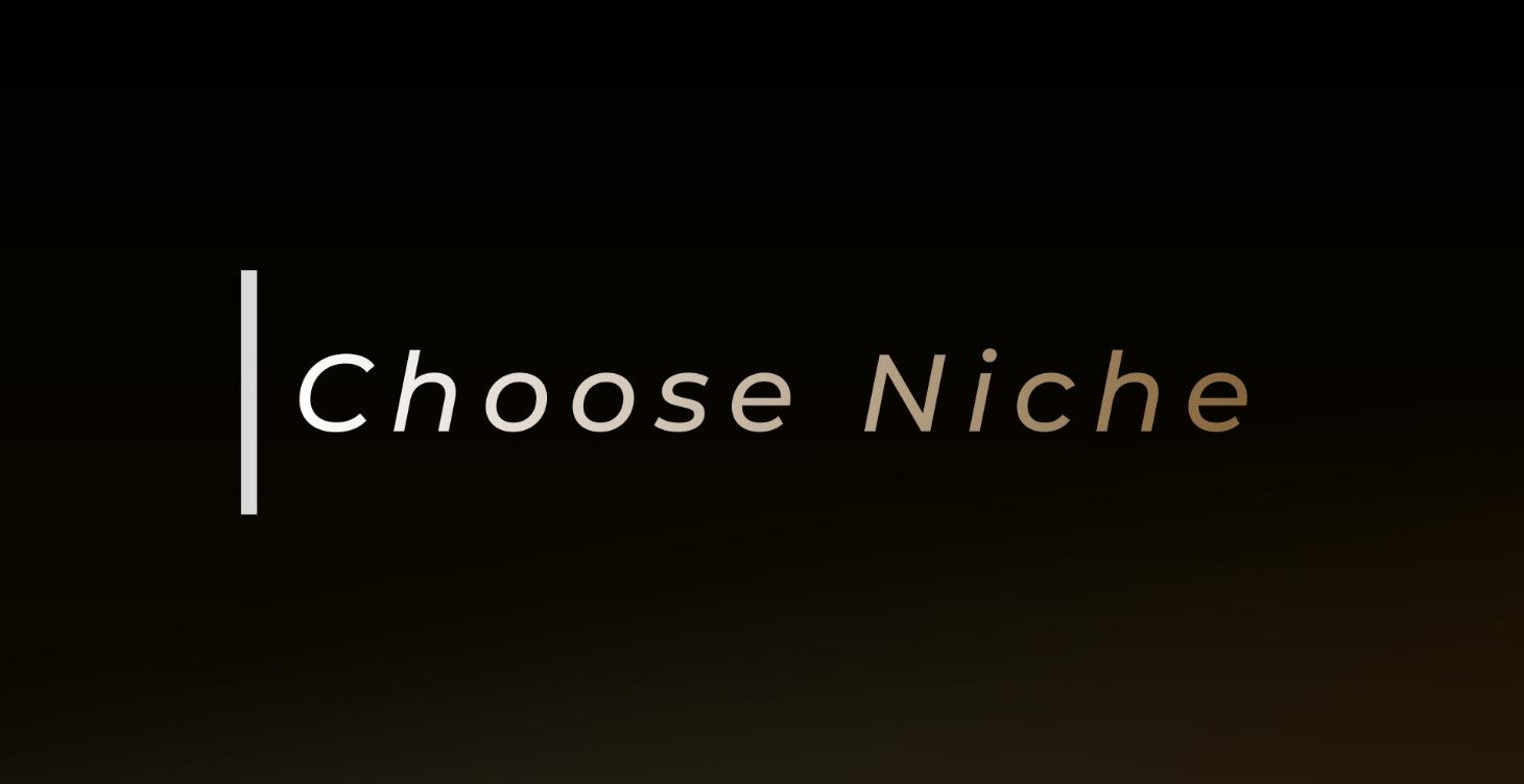 PHASE 1: Choose Niche