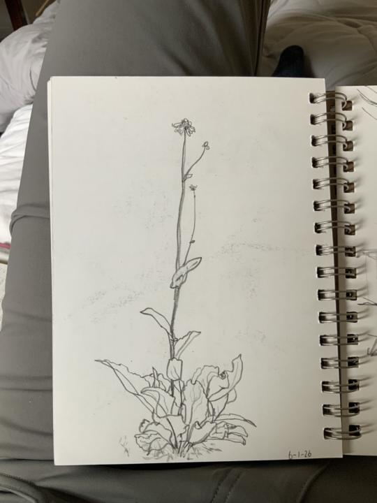 May Sketchbook highlights