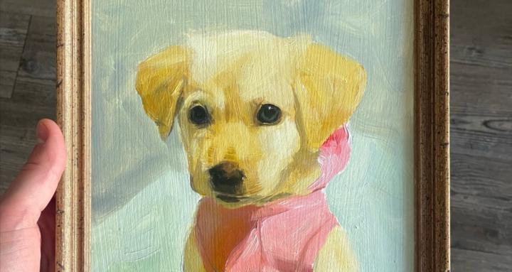 Pet Portrait Academy