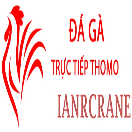 Đá Gà Trực Tiếp Thomo