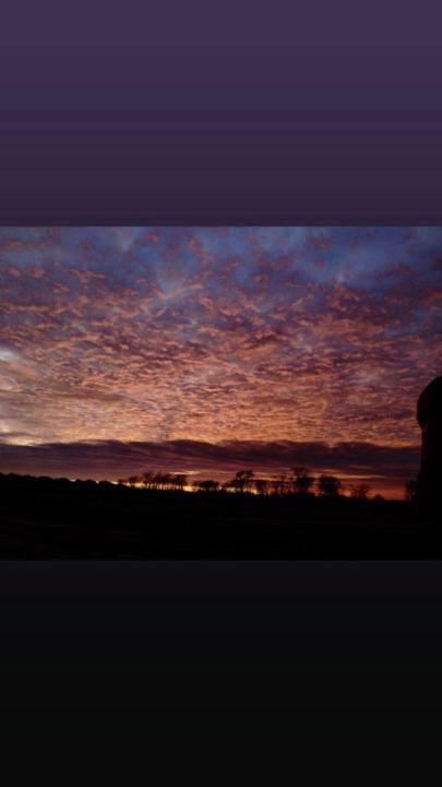 Nikolai De La Paz Marino