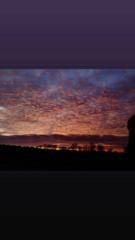 Nikolai De La Paz Marino