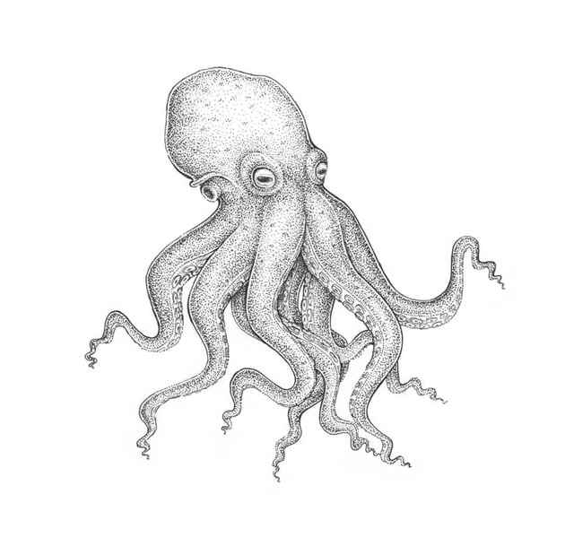 Aelias Aelias