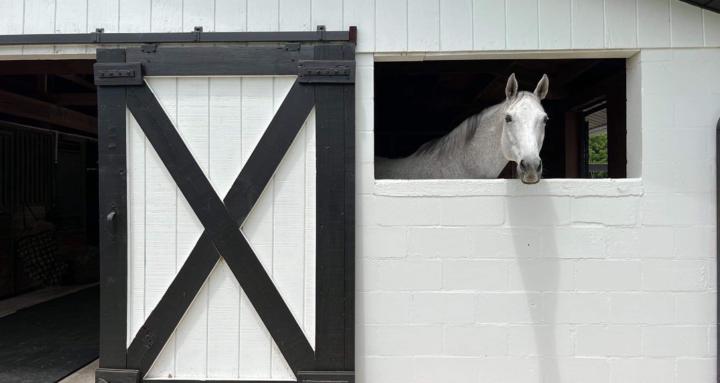 Meant To Be Equestrian