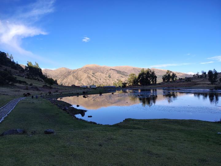 Marcelo Sebastian Reyes Montenegro