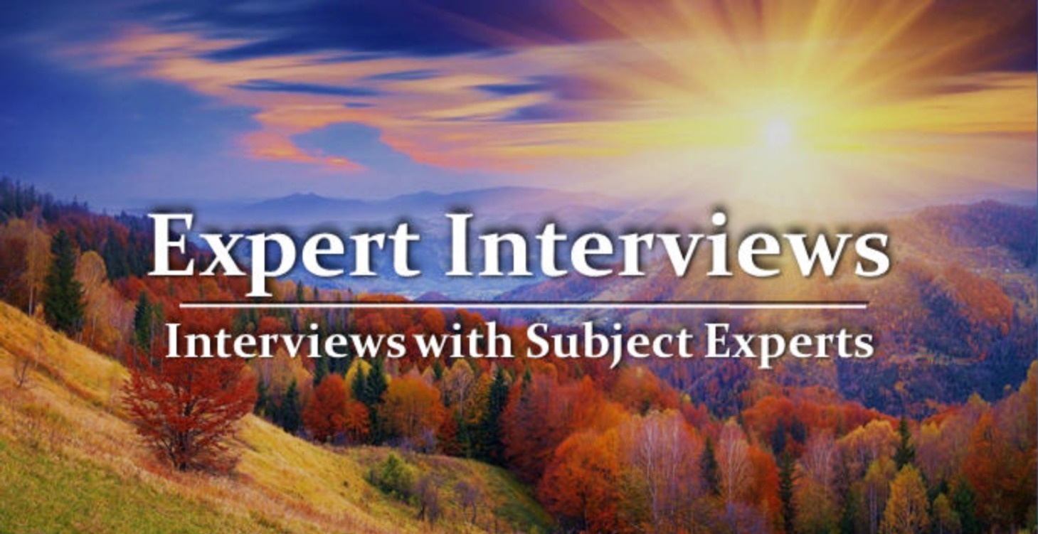 Expert Interviews