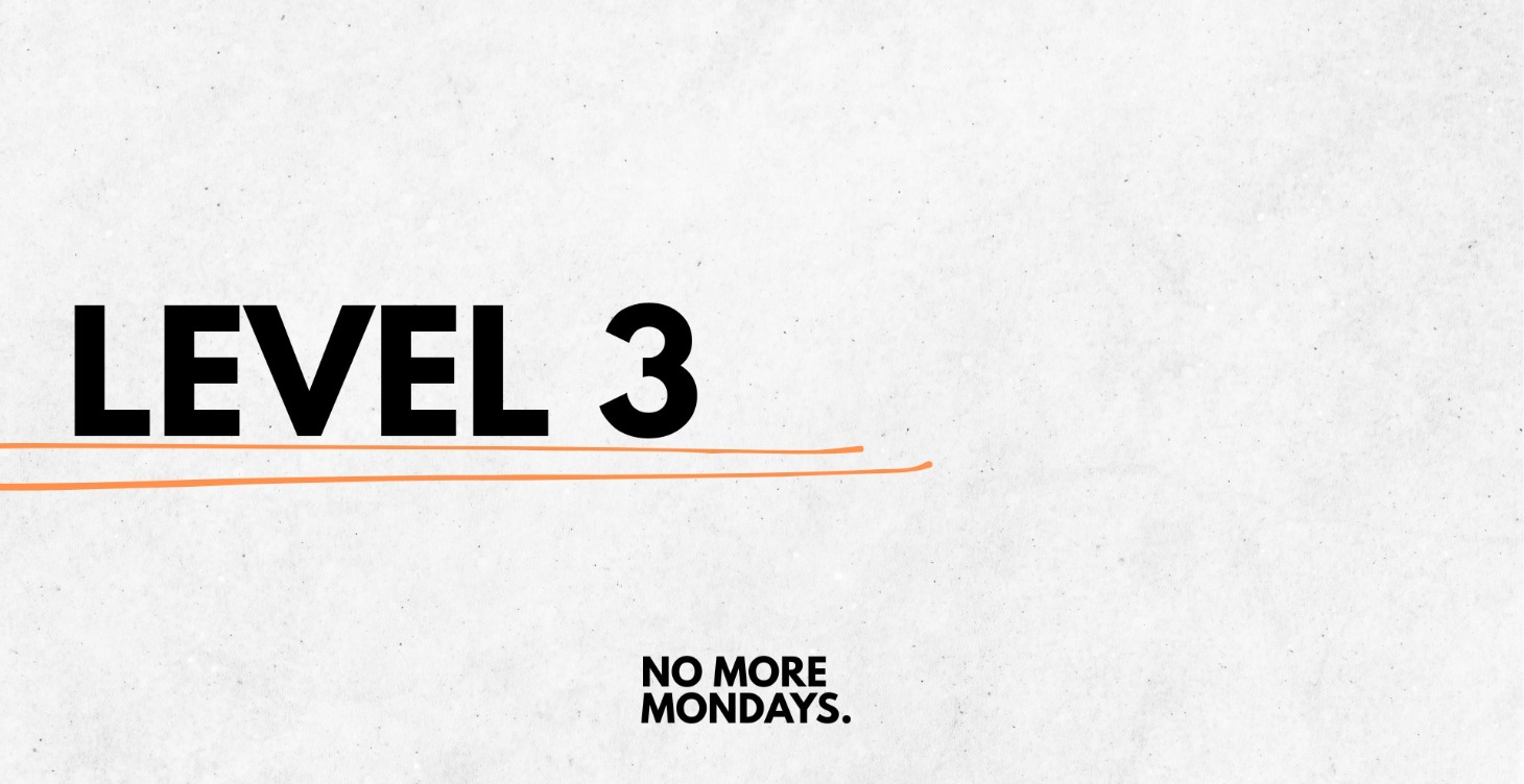 LEVEL 3