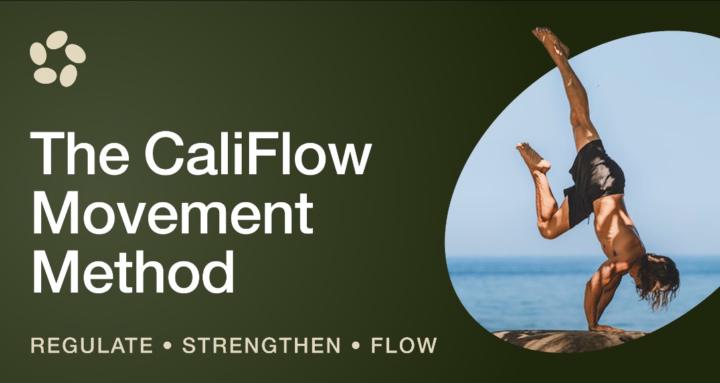 CaliFlow Training