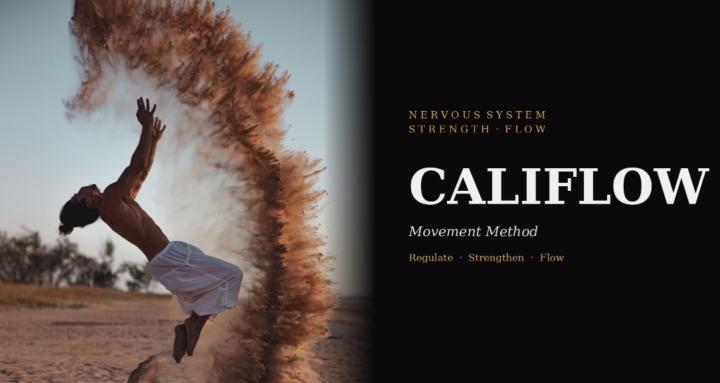 CaliFlow Training