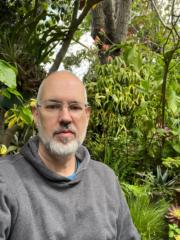 David Balluff