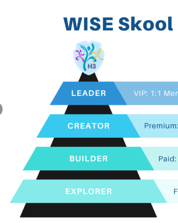 Your WISE Skool Building Journey