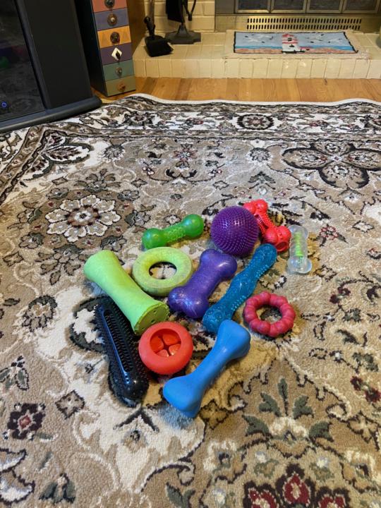 Dog toys question
