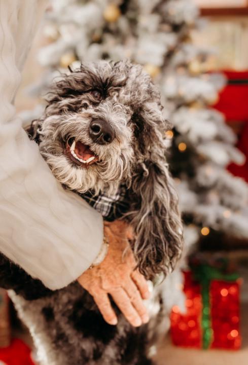 Separation crying and destruction 